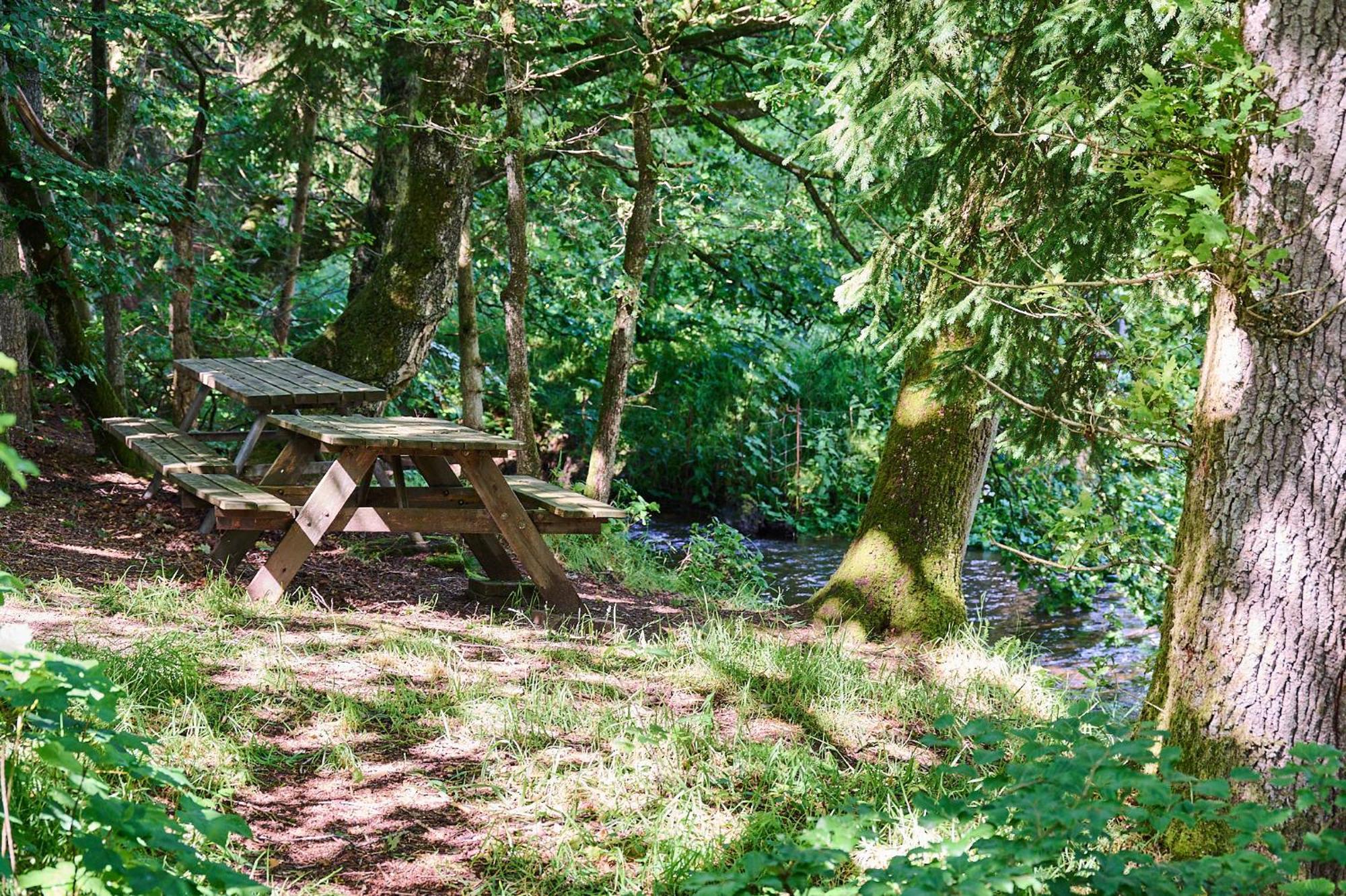 Randboldal Camping & Cabins Dış mekan fotoğraf