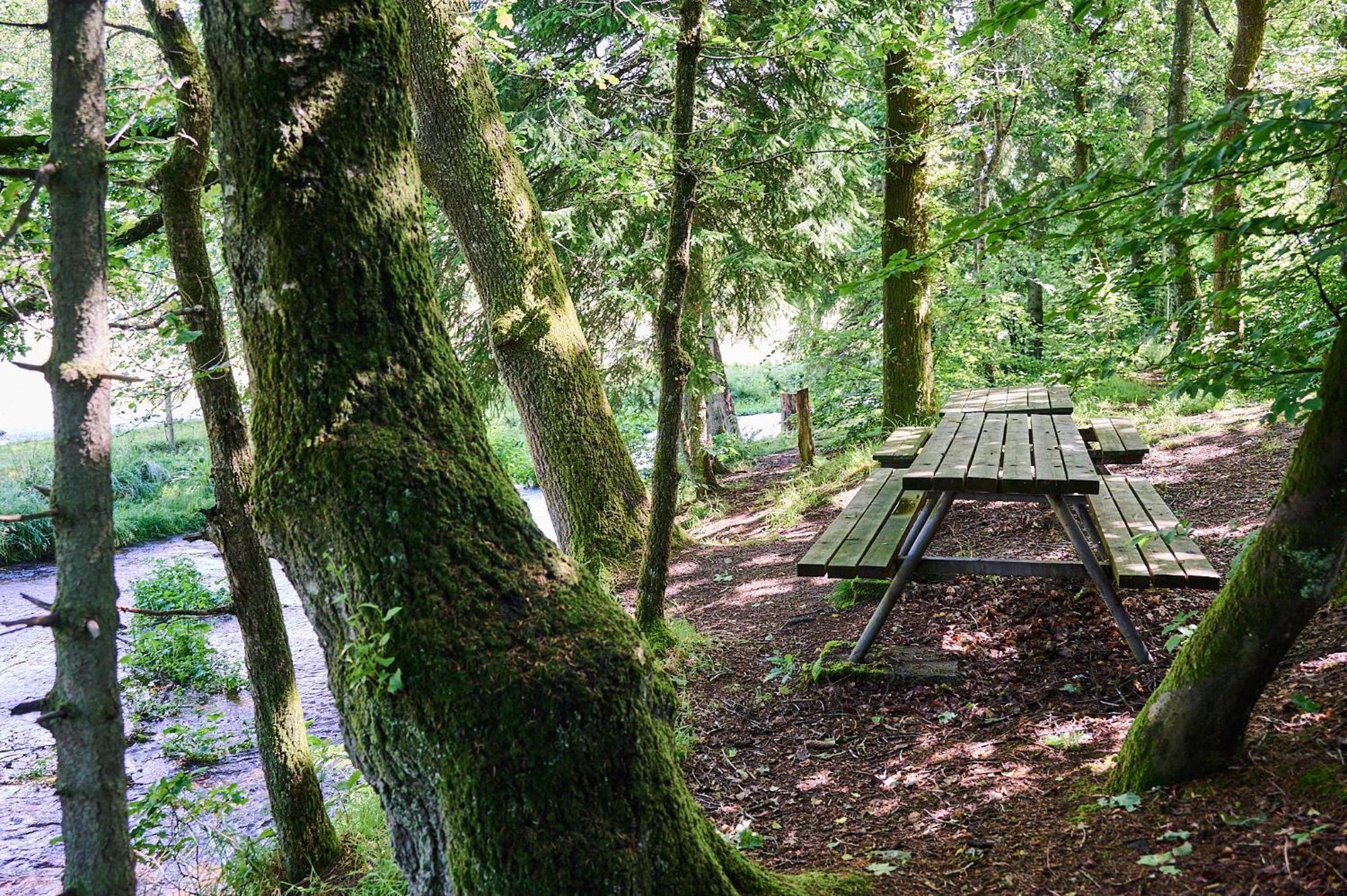 Randboldal Camping & Cabins Dış mekan fotoğraf