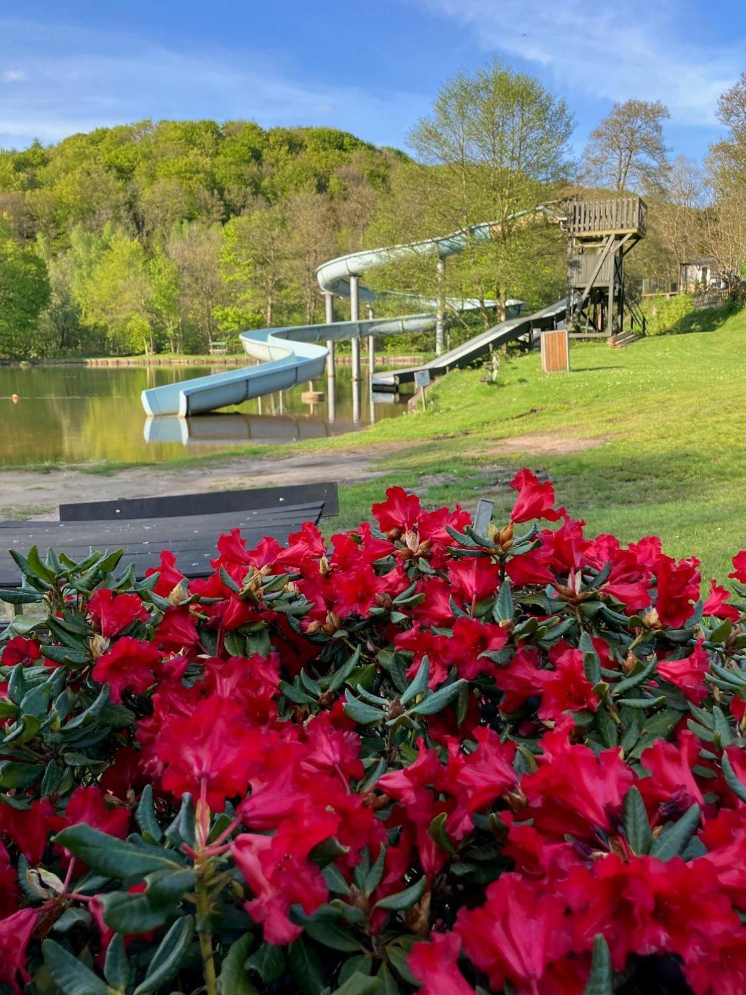 Randboldal Camping & Cabins Dış mekan fotoğraf